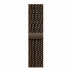Умные часы Apple Watch Series 12 42 мм, GPS, Dark Bronze Aluminum, Dark Bronze Milanese Loop, S/M