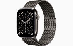 Умные часы Apple Watch Series 11 46 мм, M/L, Natural Titanium Case, Slate Milanese Loop
