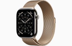 Умные часы Apple Watch Series 11 46 мм, M/L, Natural Titanium Case, Gold Milanese Loop