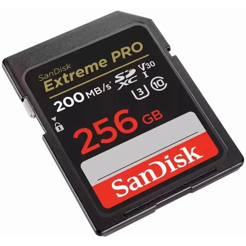 SanDisk Extreme Pro SDXC 256 ГБ [SDSDXXD-256G-GN4IN]