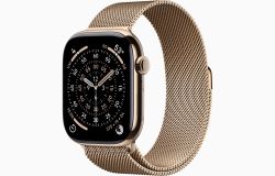 Умные часы Apple Watch Series 11 46 мм, M/L, Gold Titanium Case, Gold Milanese Loop