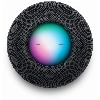 Умная колонка Apple HomePod mini, серый космос