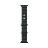 Apple Watch Ultra 2 (2024) GPS + Cellular 49 мм Natural Titanium Case with Black Ocean Band 