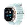 Apple Watch Ultra 2 (2024) GPS + Cellular 49 мм Natural Titanium Case with Ice Blue Ocean Band 