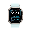 Apple Watch Ultra 2 (2024) GPS + Cellular 49 мм Natural Titanium Case with Ice Blue Ocean Band 