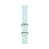 Apple Watch Ultra 2 (2024) GPS + Cellular 49 мм Natural Titanium Case with Ice Blue Ocean Band 