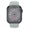 Умные часы Apple Watch Series 8 41 мм Midnight Aluminum Case with Succulent Sport Band
